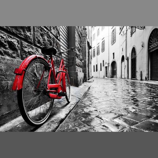 Small - Red Bicycle - Dark Gray