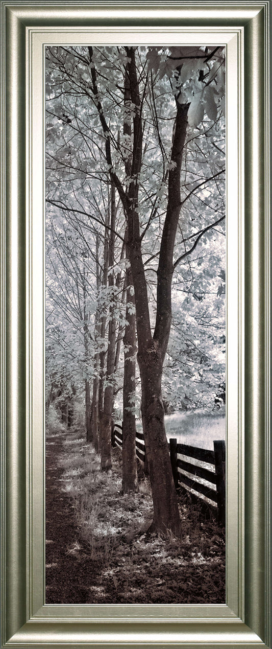 A Walk To Remember II By Ily Szilagyi - Dark Brown