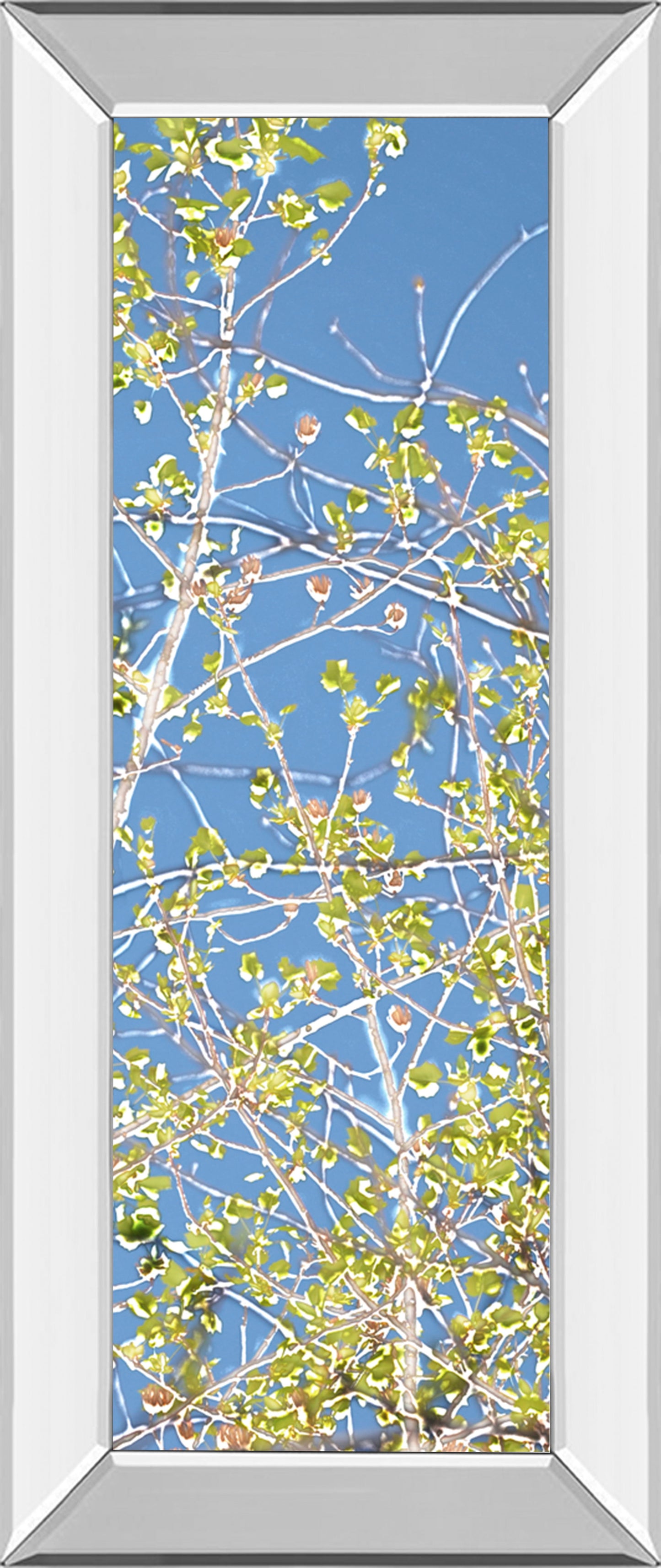 Spring Poplars III By Sharon Chandler - Mirror Framed Print Wall Art - Green