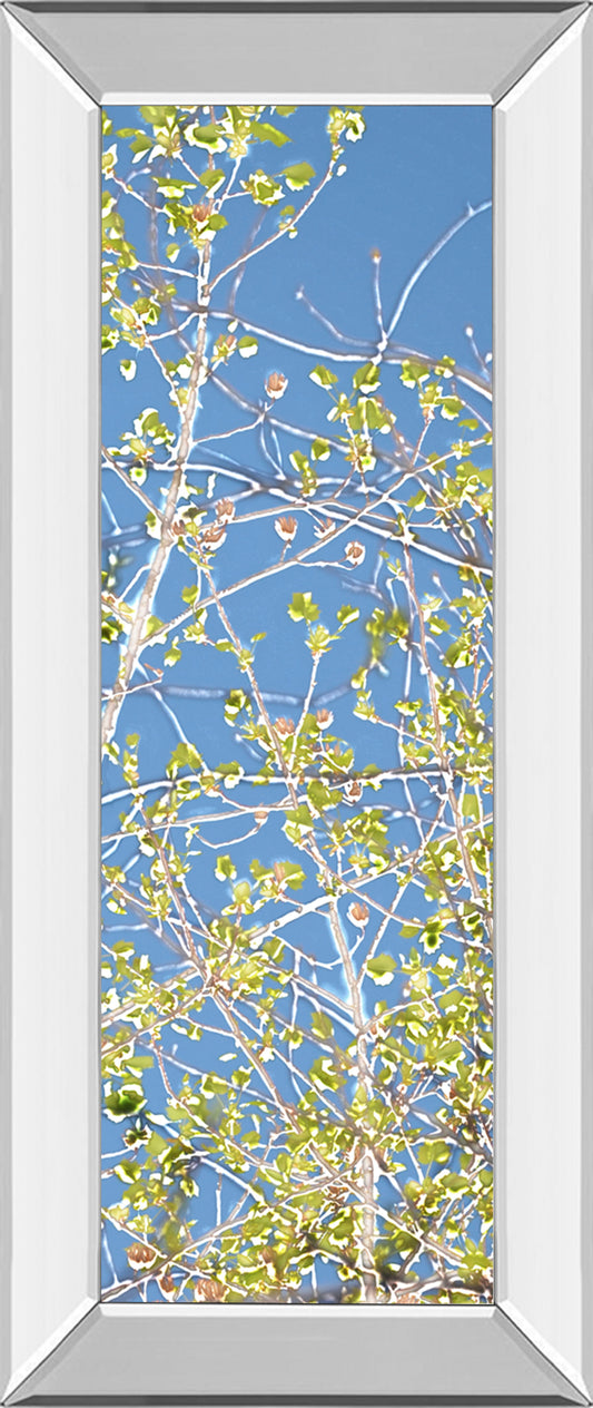 Spring Poplars III By Sharon Chandler - Mirror Framed Print Wall Art - Green