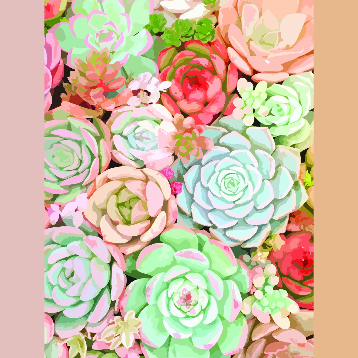 Framed Small - Succulent By Tamara Robinson - Pink