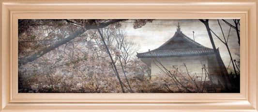 Cherry Blossom Garden By Tony Koukos - Dark Gray