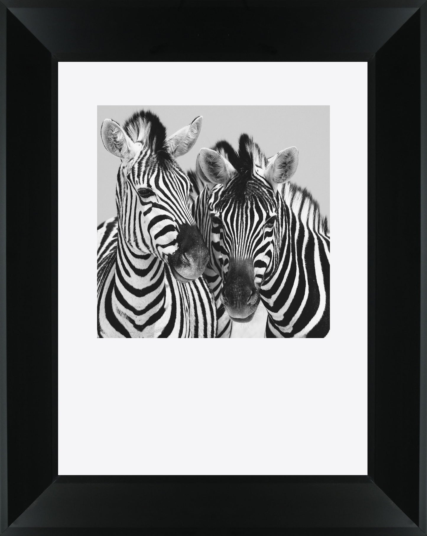 Namibia Zebra By Nina Papiorek - Framed Print Wall Art - White