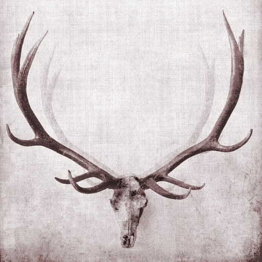 Small - Open Range I By John Butler - Gray