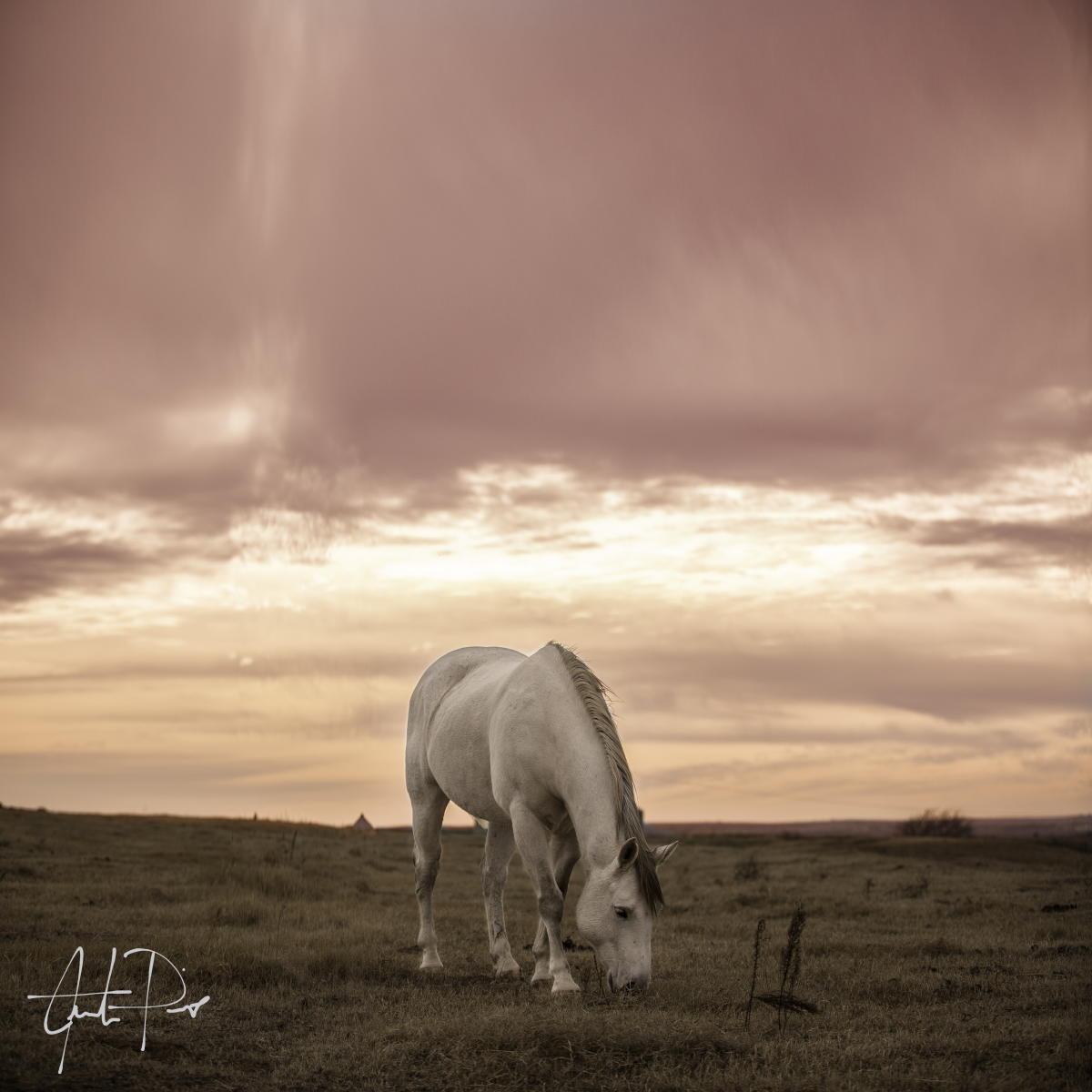 Small - Pink Skies By Justin Pius - Pink