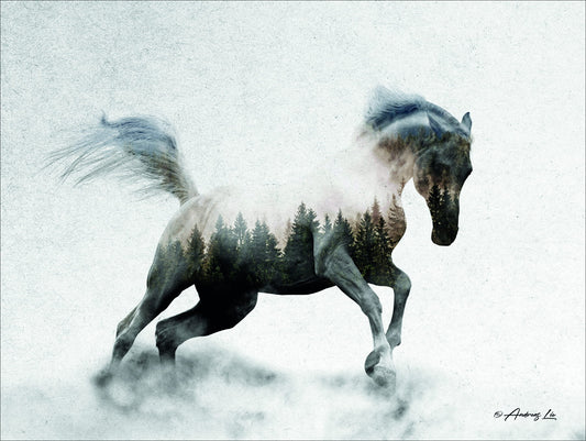 Framed Small - Running White Stallion By Andreas Lie
