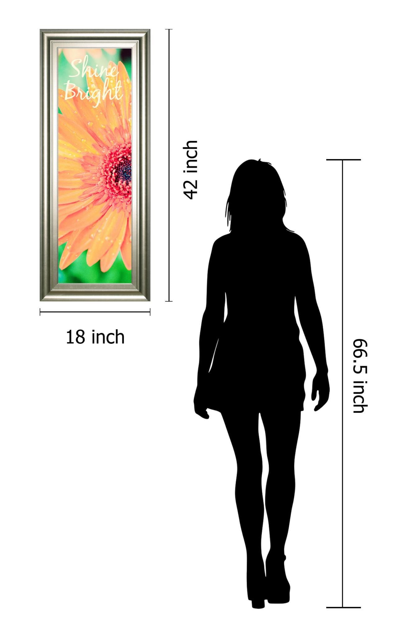 Shine Bright Daisy By Susan Bryant - Framed Print Wall Art - Orange