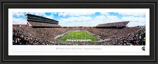 Michigan State #3 (End Zone) - Black