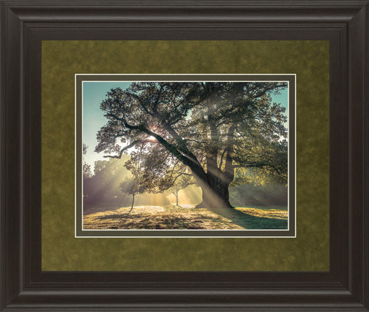 Breaking Through By A. Frank - Framed Print Wall Art - Green