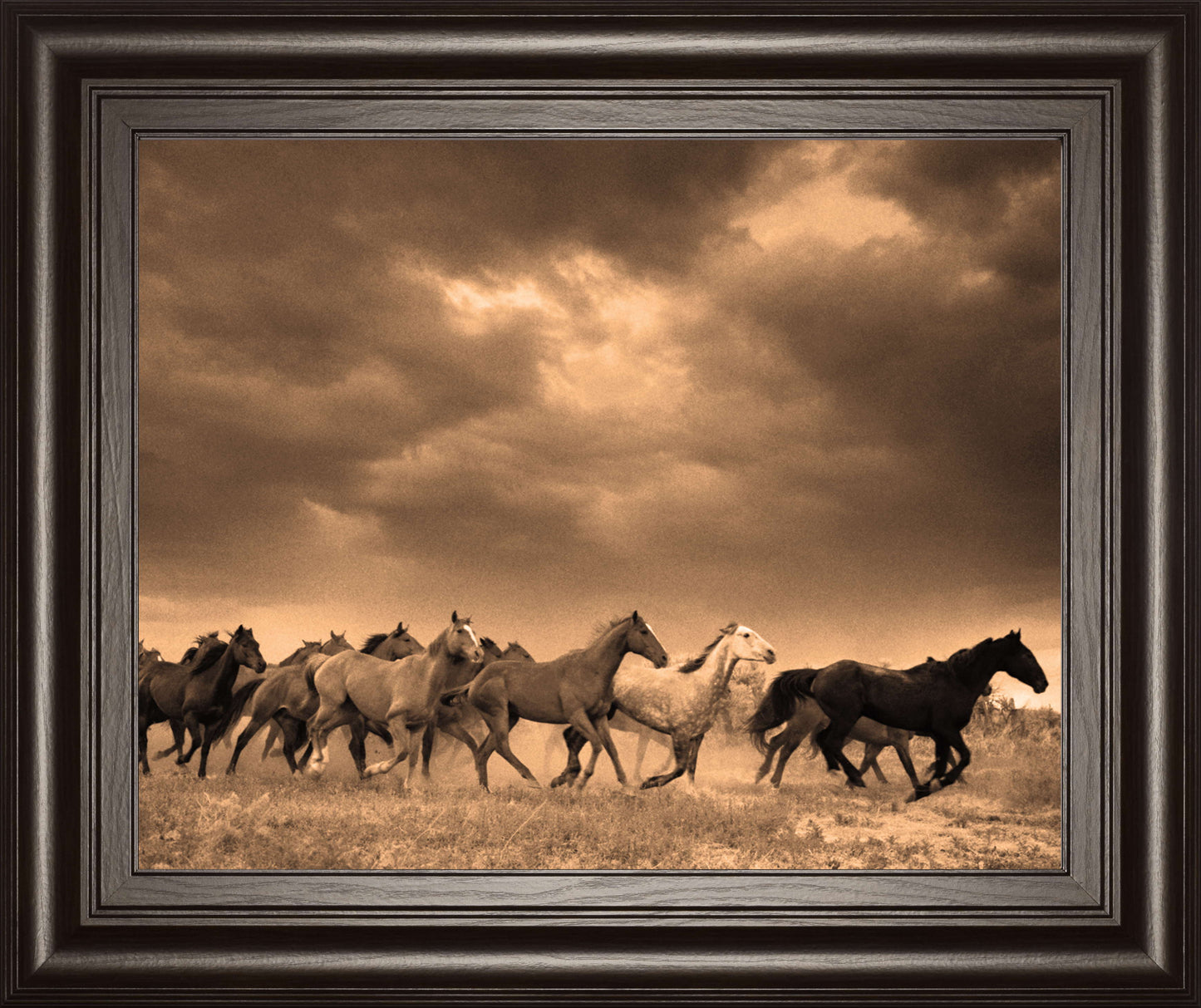 Remuda #6 By Jahiel - Framed Photo Print Wall Art - Dark Brown