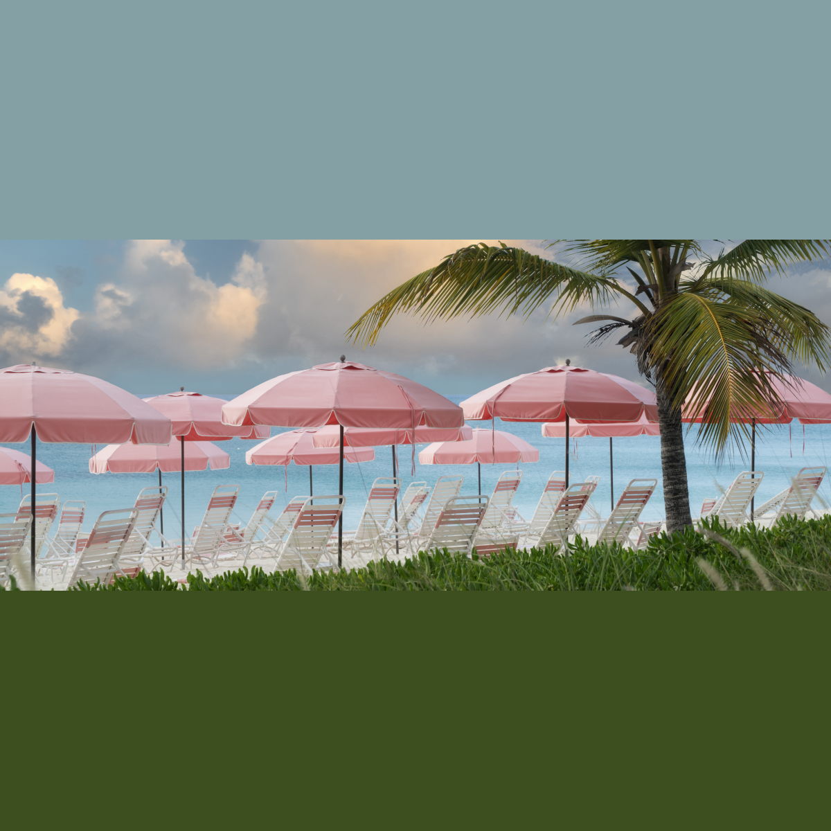 Framed - Umbrellas By Dennis Frates - Pink