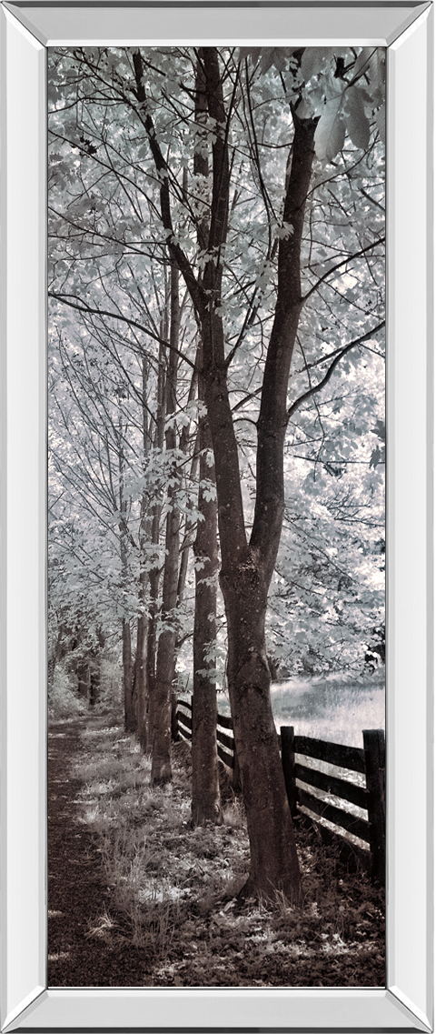 A Walk To Remember II By Ily Szilagyi - Mirrored Frame Wall Art - Dark Brown