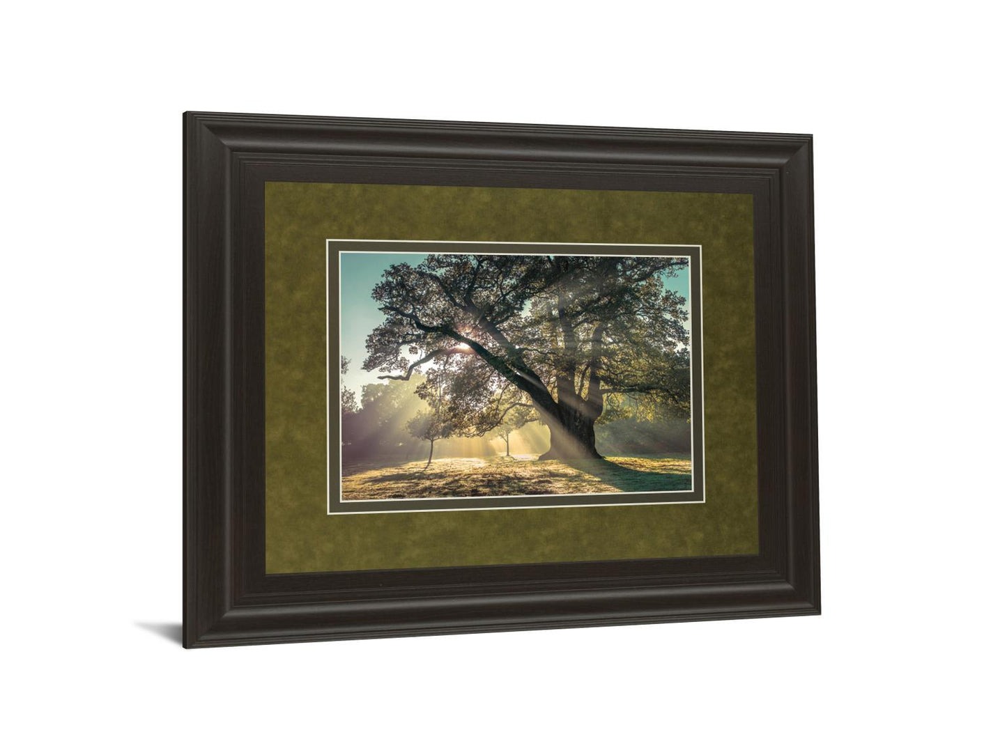 Breaking Through By A. Frank - Framed Print Wall Art - Green