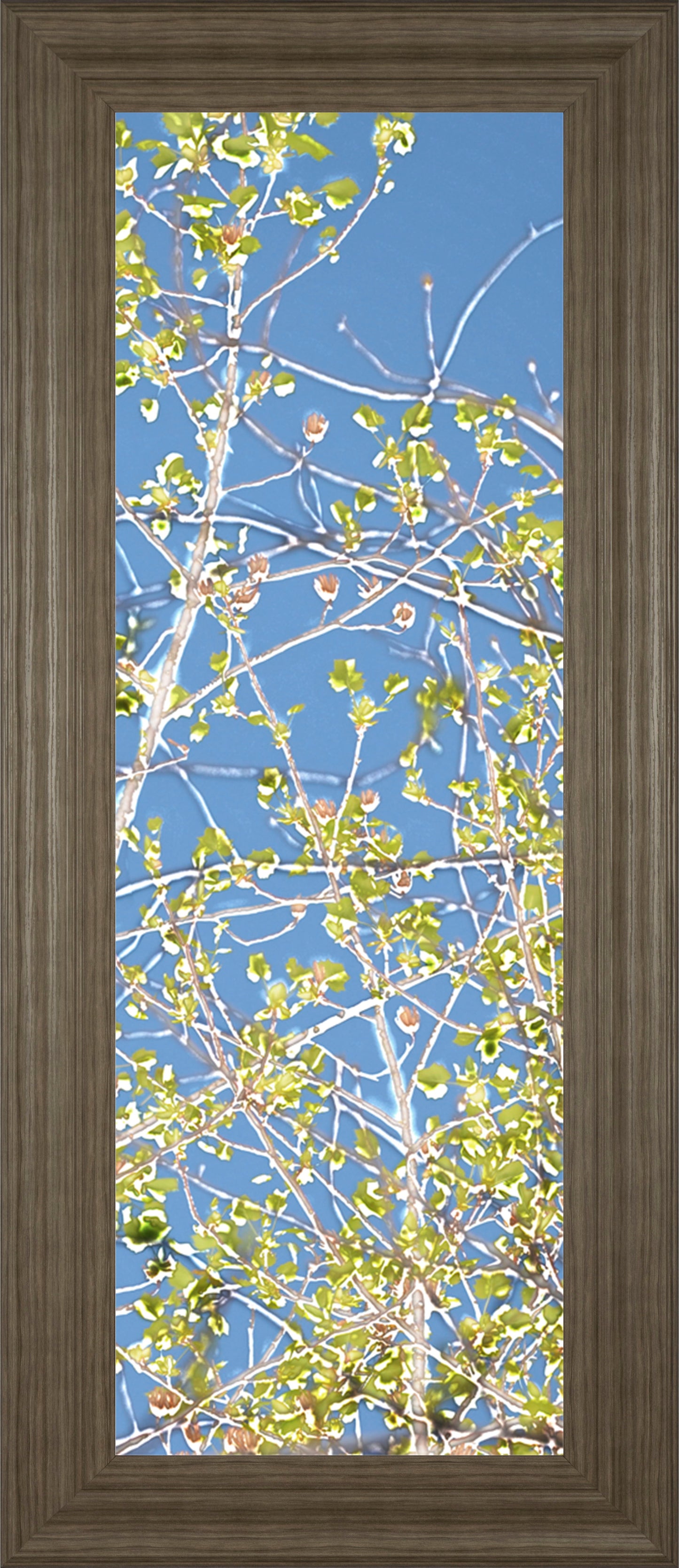 Spring Poplars III By Sharon Chandler - Framed Print Wall Art - Green