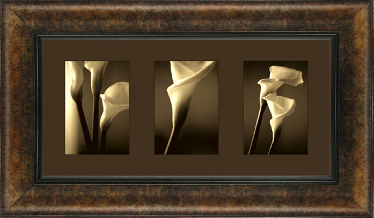 Divinity By Cinzia Ryan - Framed Print Wall Art - Dark Brown