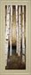 Birch Landing III By St Germain - Framed Print Wall Art - Beige
