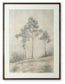 Fenngrove - Wall Art - Brown / Beige