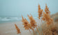 Blowing In The Wind (Framed Small) - Light Blue