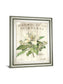 Magnolia De Printemps By Sue Schlabach - Beige