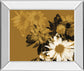 Golden Bloom Il By Mirror Framed Print Wall Art - Light Brown