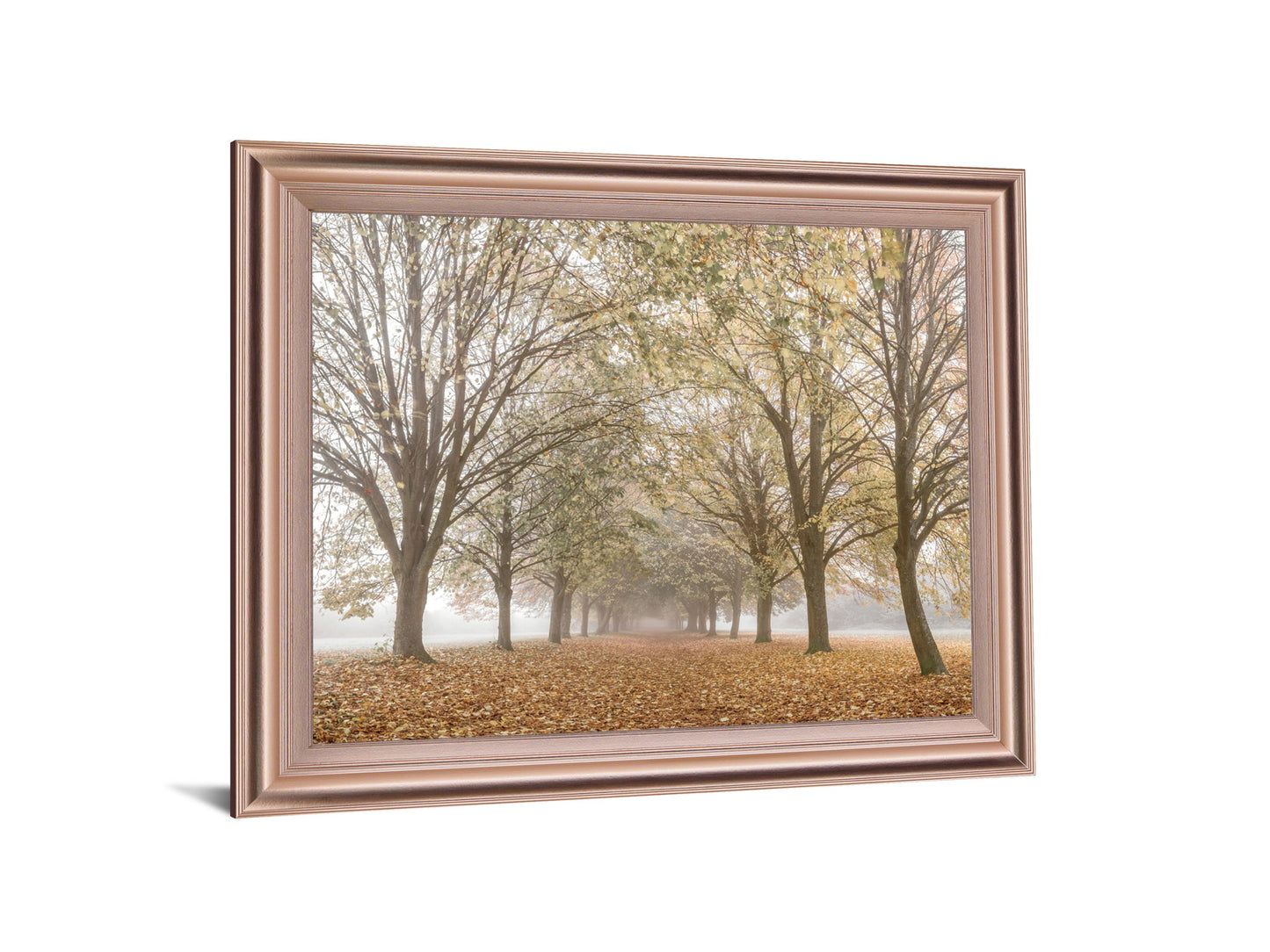 Golden Mist Avenue - 28" x 34" Framed Wall Art - Light Brown
