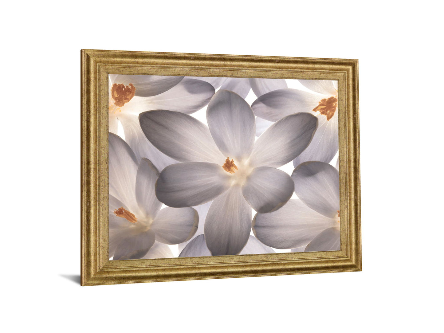 Whispering Blossom - 28" x 34" Framed Wall Art - Gray