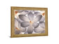 Whispering Blossom - 28" x 34" Framed Wall Art - Gray