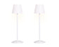 "Eclipse Aura II" Rechargeable LED Metal Accent Lamp (Set of 2) - White