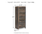 Drystan - Narrow Chest - Brown / Beige