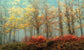 Framed - Beeches In The Mist By Lars Van De Goor - Light Blue