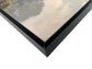 Jurassic Trail I Textured Canvas In Frame - Black / Brown