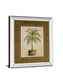 Potted Palm Il - Mirror Framed Print Wall Art - Light Brown