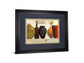Jeweled Vessels By J. Wiens - Framed Print Wall Art - Dark Gray