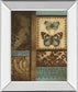 Back To The Garden Il By Kimberly Poloson - Mirror Framed Print Wall Art - Dark Brown