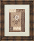 Single Peony By Vivian Flasch - Framed Print Wall Art - Light Brown