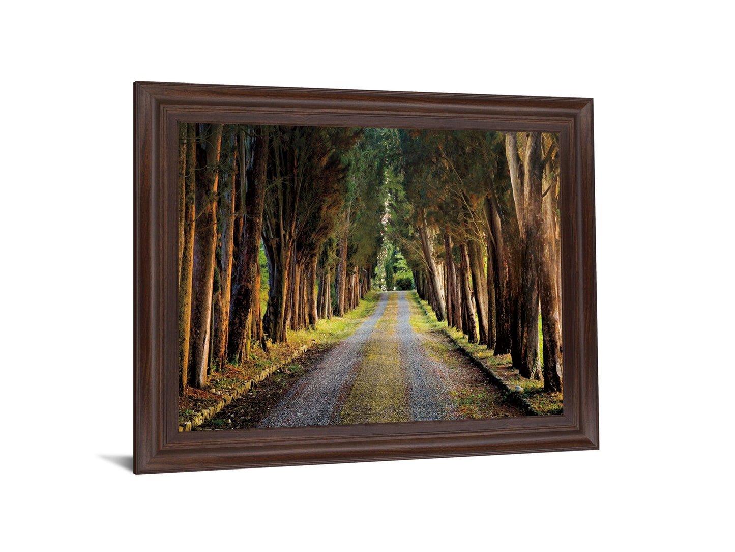 Woodland Passage - 28" x 34" Framed Wall Art - Green