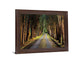 Woodland Passage - 28" x 34" Framed Wall Art - Green