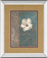 Floral Trans Il By Vivian Flasch - Mirror Framed Print Wall Art - Light Brown