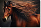 Temp Glass With Foil - Chestnut Mane In The Wind - Dark Brown