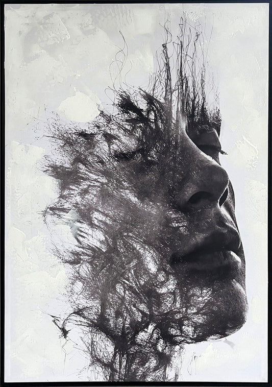 Veiled Reverie Hand-Embellished Canvas In Frame - Black / White