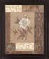 Sepia Blossom - 28" x 34" Framed Wall Art - Beige