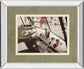Cool Cats By Gail Peck - Mirror Framed Print Wall Art - Light Brown
