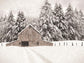 North Country By Lori Deiter (Framed Small) - Beige