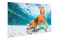 Poolside Retriever Tempered Glass - Blue / White