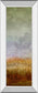 Lush Field Il By John Butler - Mirror Framed Print Wall Art - Dark Gray