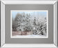 Frosty Morning By Mike Jone - Mirror Framed Print Wall Art - Gray