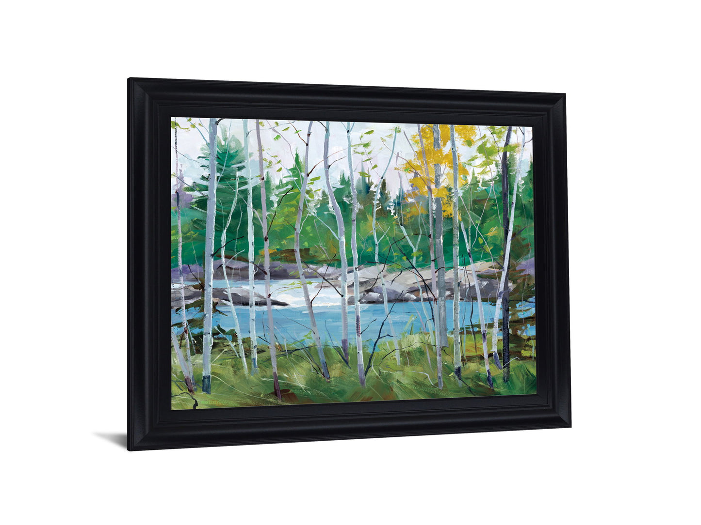River Birch Vista - 28" x 34" Framed Wall Art - Green