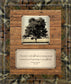 Opportunity By John Jones - Wall Art - Light Brown