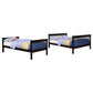 Chapman - Wood Bunk Bed