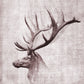 Small - Open Range II By John Butler - Gray